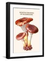 Boletus the King of Mushrooms-Edmund Michael-Framed Art Print