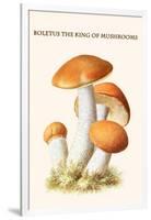 Boletus the King of Mushrooms-Edmund Michael-Framed Art Print