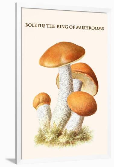 Boletus the King of Mushrooms-Edmund Michael-Framed Art Print