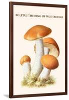 Boletus the King of Mushrooms-Edmund Michael-Framed Art Print