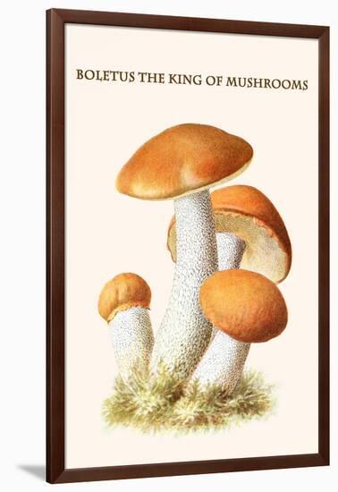 Boletus the King of Mushrooms-Edmund Michael-Framed Art Print