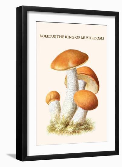 Boletus the King of Mushrooms-Edmund Michael-Framed Art Print