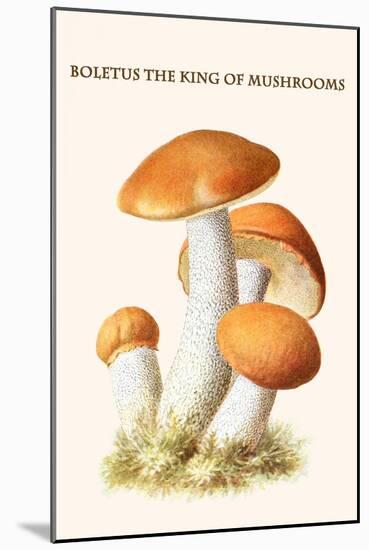 Boletus the King of Mushrooms-Edmund Michael-Mounted Art Print