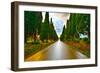 Bolgheri Famous Cypresses Tree Straight Boulevard on Sunset. Maremma, Tuscany, Italy-stevanzz-Framed Photographic Print