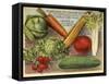 Bolgiano's Veggies-Vintage Apple Collection-Framed Stretched Canvas