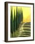 Bolick Road II-Herb Dickinson-Framed Photographic Print