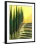 Bolick Road II-Herb Dickinson-Framed Photographic Print