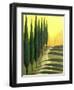 Bolick Road II-Herb Dickinson-Framed Photographic Print