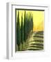 Bolick Road II-Herb Dickinson-Framed Photographic Print