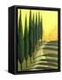 Bolick Road II-Herb Dickinson-Framed Stretched Canvas