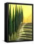 Bolick Road II-Herb Dickinson-Framed Stretched Canvas