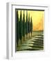 Bolick Road-Herb Dickinson-Framed Photographic Print