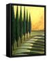 Bolick Road-Herb Dickinson-Framed Stretched Canvas