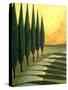 Bolick Road-Herb Dickinson-Stretched Canvas