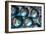 Bolitas-Ursula Abresch-Framed Photographic Print