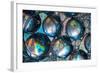 Bolitas-Ursula Abresch-Framed Photographic Print