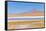 Bolivia, Antiplano - Canapa Lake-Elzbieta Sekowska-Framed Stretched Canvas
