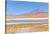 Bolivia, Antiplano - Canapa Lake-Elzbieta Sekowska-Stretched Canvas