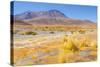 Bolivia, Antiplano - Canapa Lake-Elzbieta Sekowska-Stretched Canvas