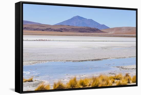 Bolivia, Antiplano - Canapa Lake-Elzbieta Sekowska-Framed Stretched Canvas