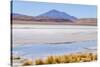 Bolivia, Antiplano - Canapa Lake-Elzbieta Sekowska-Stretched Canvas