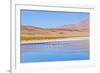 Bolivia, Antiplano - Canapa Lake-Elzbieta Sekowska-Framed Photographic Print