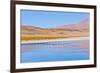 Bolivia, Antiplano - Canapa Lake-Elzbieta Sekowska-Framed Photographic Print