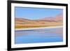 Bolivia, Antiplano - Canapa Lake-Elzbieta Sekowska-Framed Photographic Print