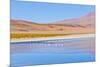 Bolivia, Antiplano - Canapa Lake-Elzbieta Sekowska-Mounted Photographic Print