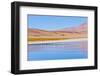 Bolivia, Antiplano - Canapa Lake-Elzbieta Sekowska-Framed Photographic Print