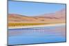 Bolivia, Antiplano - Canapa Lake-Elzbieta Sekowska-Mounted Photographic Print