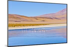 Bolivia, Antiplano - Canapa Lake-Elzbieta Sekowska-Mounted Photographic Print