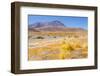 Bolivia, Antiplano - Canapa Lake-Elzbieta Sekowska-Framed Photographic Print