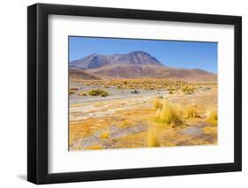 Bolivia, Antiplano - Canapa Lake-Elzbieta Sekowska-Framed Photographic Print