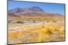 Bolivia, Antiplano - Canapa Lake-Elzbieta Sekowska-Mounted Photographic Print