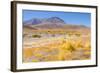 Bolivia, Antiplano - Canapa Lake-Elzbieta Sekowska-Framed Photographic Print