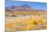 Bolivia, Antiplano - Canapa Lake-Elzbieta Sekowska-Mounted Photographic Print