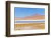 Bolivia, Antiplano - Canapa Lake-Elzbieta Sekowska-Framed Photographic Print