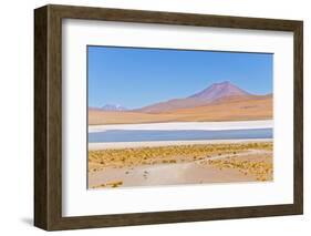 Bolivia, Antiplano - Canapa Lake-Elzbieta Sekowska-Framed Photographic Print