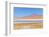 Bolivia, Antiplano - Canapa Lake-Elzbieta Sekowska-Framed Photographic Print