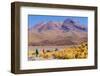 Bolivia, Antiplano - Canapa Lake-Elzbieta Sekowska-Framed Photographic Print