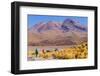 Bolivia, Antiplano - Canapa Lake-Elzbieta Sekowska-Framed Photographic Print