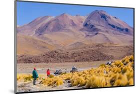 Bolivia, Antiplano - Canapa Lake-Elzbieta Sekowska-Mounted Photographic Print