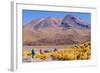 Bolivia, Antiplano - Canapa Lake-Elzbieta Sekowska-Framed Photographic Print