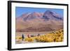 Bolivia, Antiplano - Canapa Lake-Elzbieta Sekowska-Framed Photographic Print