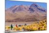 Bolivia, Antiplano - Canapa Lake-Elzbieta Sekowska-Mounted Photographic Print