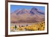 Bolivia, Antiplano - Canapa Lake-Elzbieta Sekowska-Framed Photographic Print