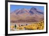 Bolivia, Antiplano - Canapa Lake-Elzbieta Sekowska-Framed Photographic Print