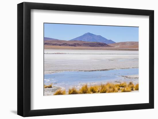 Bolivia, Antiplano - Canapa Lake-Elzbieta Sekowska-Framed Photographic Print