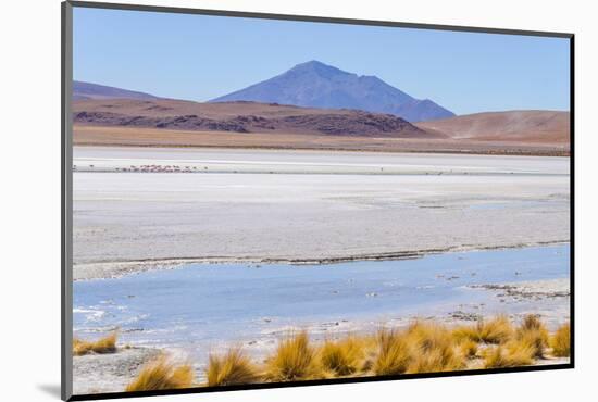 Bolivia, Antiplano - Canapa Lake-Elzbieta Sekowska-Mounted Photographic Print